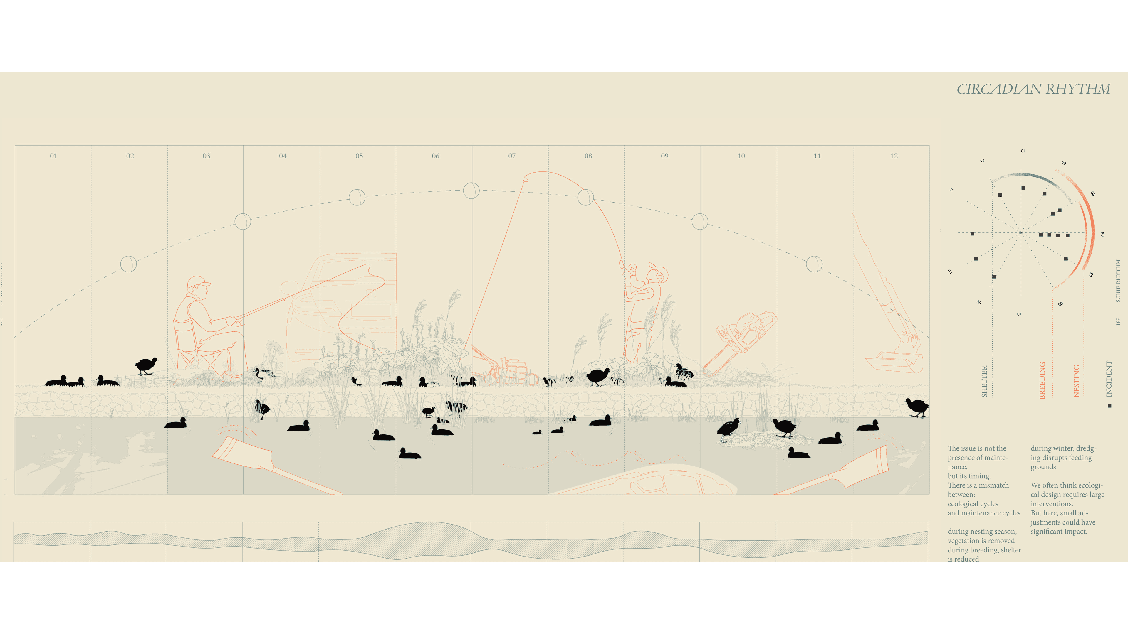 Lin_Schie_16x9.png