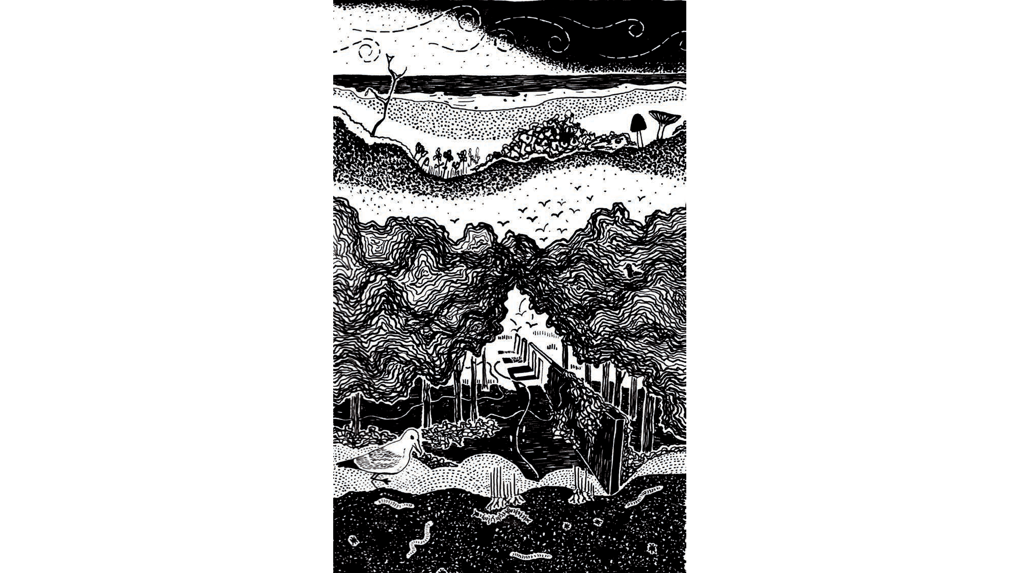 Opperhuis_duinen_16x9