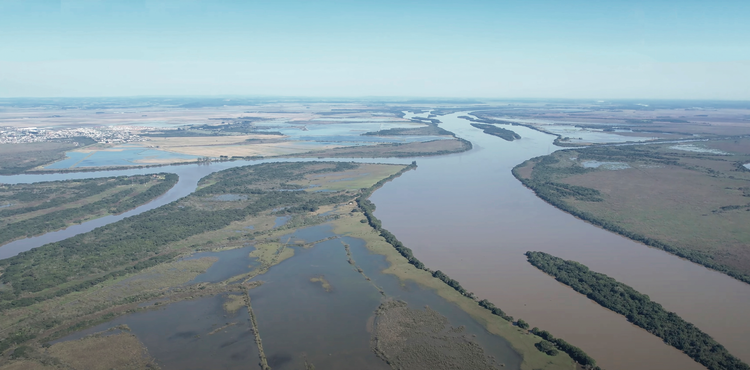 UNDP Delta Jacui 1