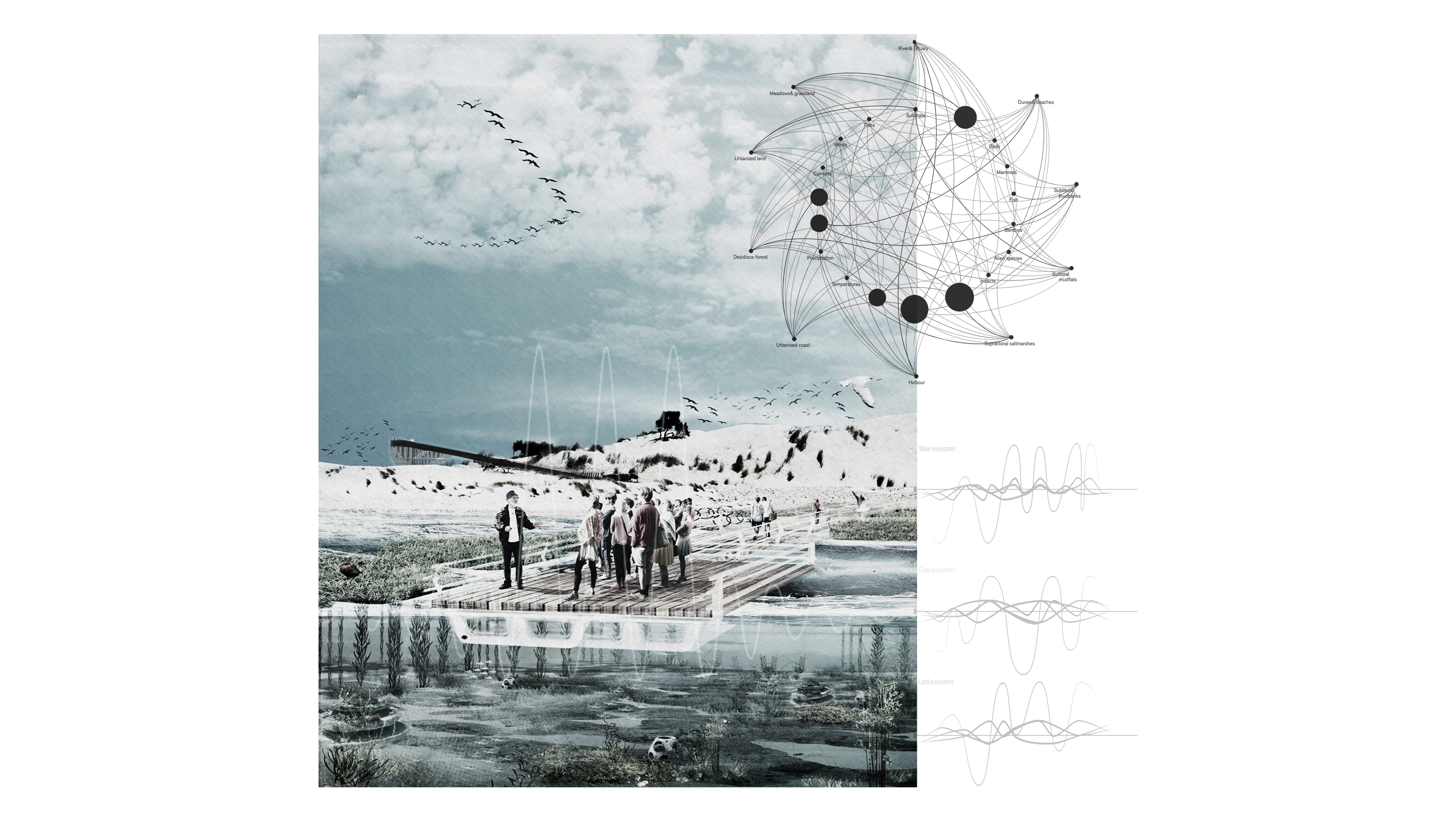 Garcia_Vogt_Waddenzee_16x9.png
