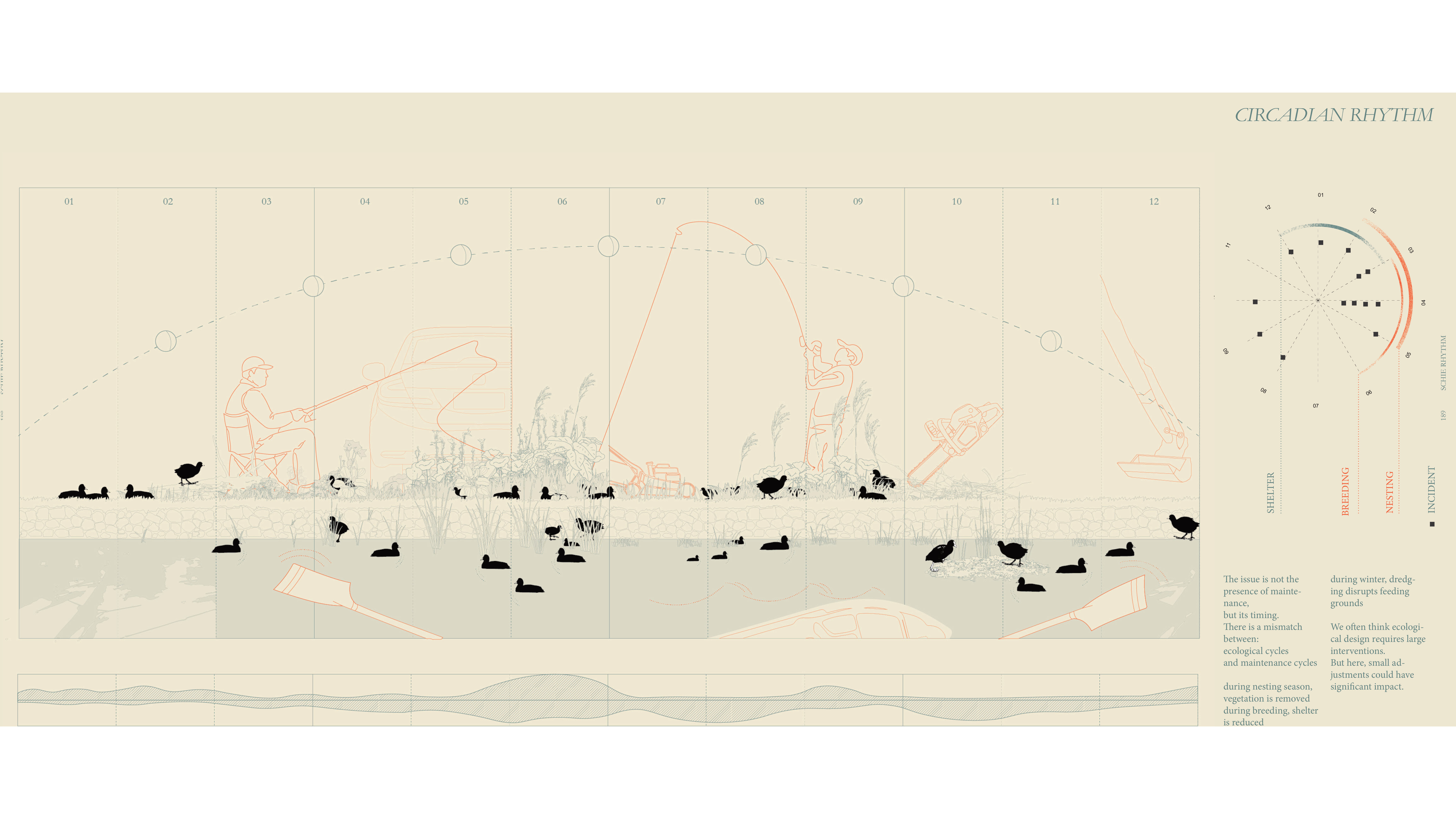 Lin_Schie_16x9.png