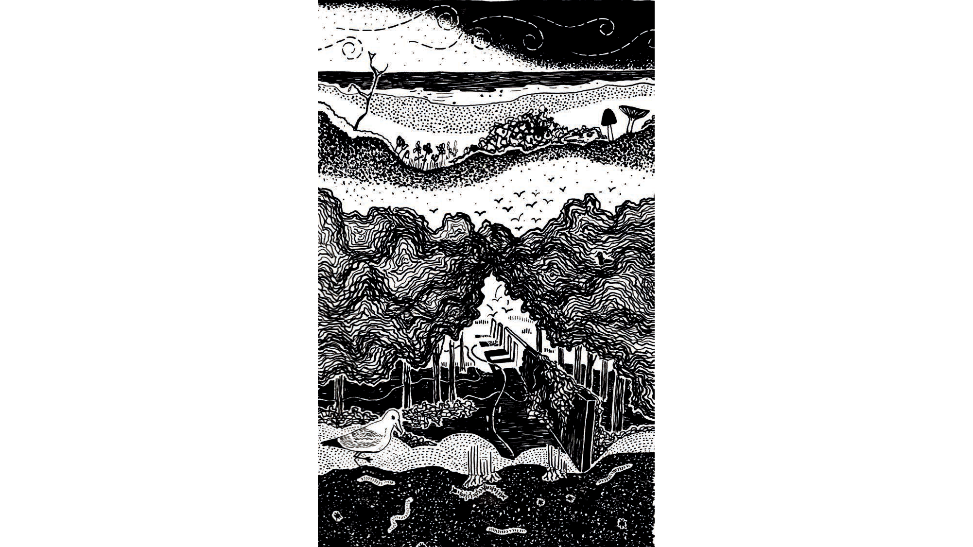 Opperhuis_duinen_16x9